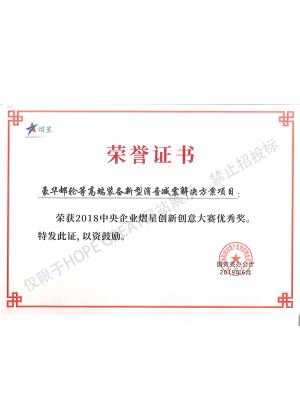 Award Certificate of SASAC